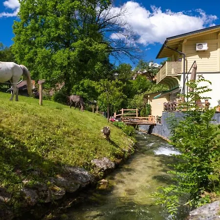 Gabrijel With Four Seasons Outdoor Kitchen Appartement *